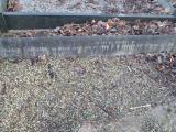 image of grave number 365066
